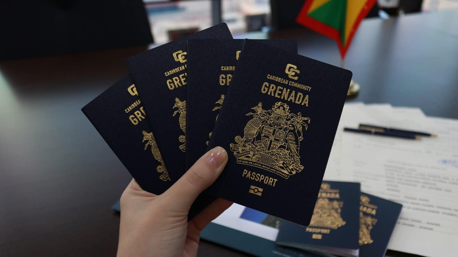 Grenada announces disciplinary actions against the marketing agent 1 Dont miss Important update from Grenada Citizenship by Investment Unit