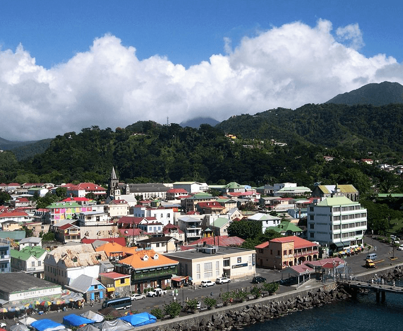Cyprus Property Sales Surge in January 1 dominica citizenship by investment